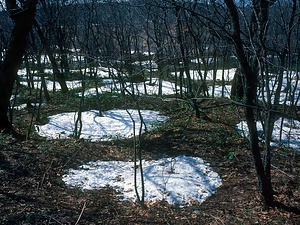 朱円竪穴住居跡群