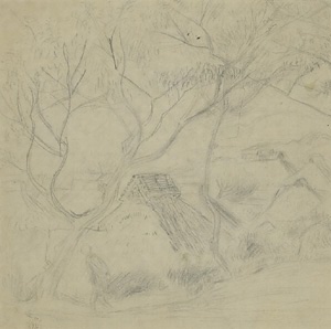 丘から見た風景