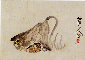 蕗下コロポックル人の図