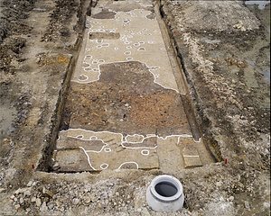 丹南遺跡E9-2-35 S051廃棄土坑