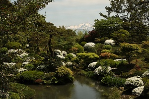 本間氏別邸庭園（鶴舞園）