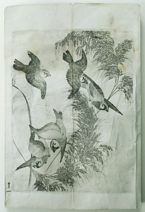 稲穂と雀（銅版画見本帖十二図）