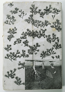 稚松と夜の捕鳥（銅版画見本帖十二図）