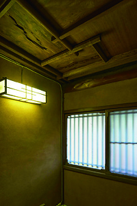 銅御殿 内便所（女用）天井