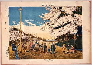 東京名所上野公園（小包郵便）