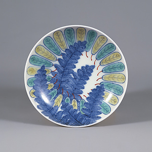 色絵 裏白譲葉文 皿