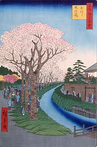 広重　江戸名所百景・玉川提の花