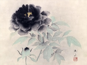 牡丹花 (墨牡丹)
