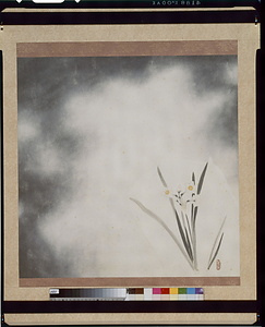 水仙（風呂敷原図）