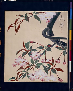 野芹一束（海棠）