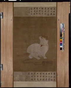 綵綬羈猫図