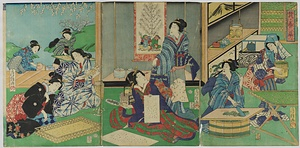 蚕養草
