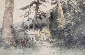 絵葉書「箱根旧街道」