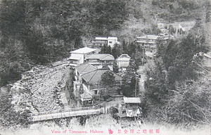 絵葉書「箱根塔之澤全景」