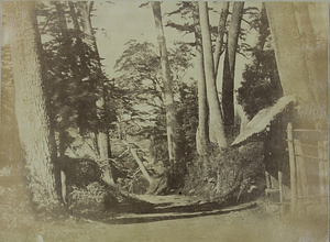 山崎付近の東海道（NEAR HAKONE「THE FAR EAST」1873.3.4）
