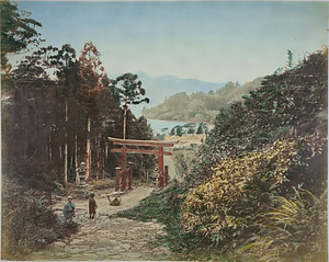 権現坂と箱根神社参道