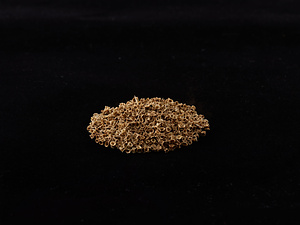 マイワシ　椎骨