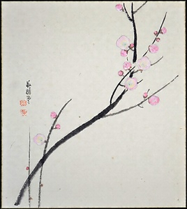 「薄紅梅」