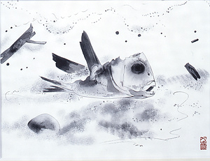 「きのね」砂浜