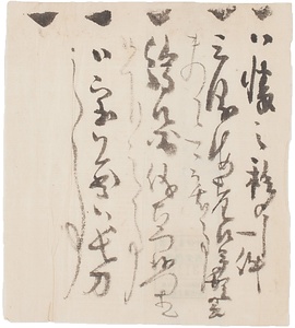 所蔵品取調ニ付届書