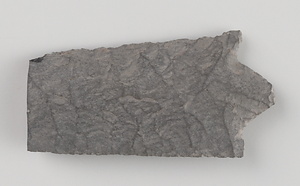 槍先（有舌尖頭器）