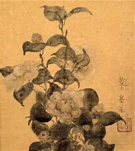 椿