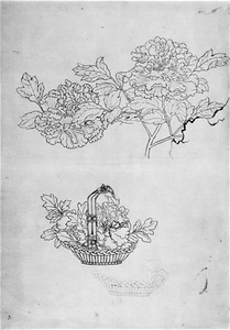 [花籠](日本画画稿)