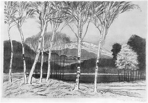 「日本名山画譜」より 7.飛騨高山見座沼からみた乗鞍ヶ岳