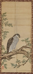山楽／鷹図