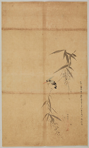 探幽／芦ニ翡翆図