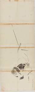 探幽／芦雁図