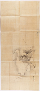 探幽／蓮ニ鷺月ニ鴝鵒図