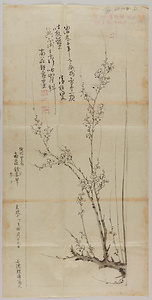 鉏穸／梅図
