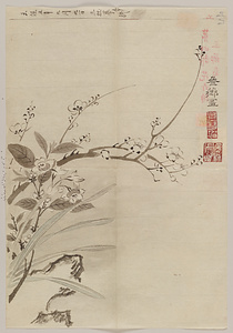 参薌／水仙梅茶ノ花図