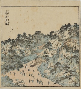 花月案内・上野彼岸桜