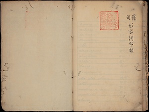 《羅甸形容詞字類》
