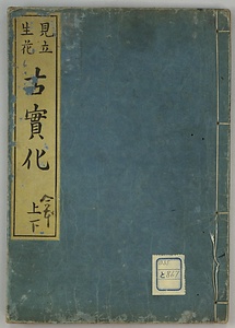 見立生花古実化