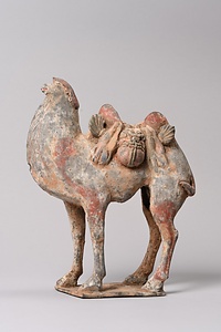 加彩駱駝