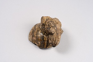 黒褐釉象首断片