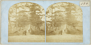 法隆寺南大門外馬場