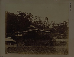 東大谷