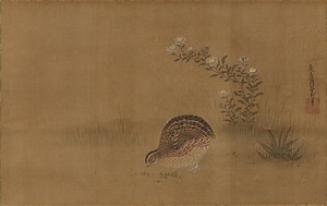 野菊鶉図