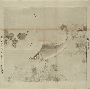 銭光甫／藻魚図
