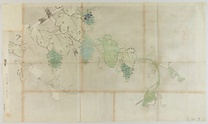 紅白川／葡萄図