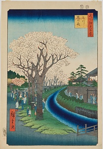 名所江戸百景・玉川堤の花