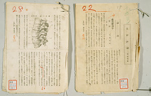 芸用解剖学講義草稿