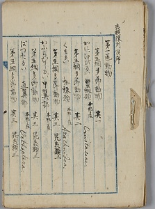 蟲類陳列順序