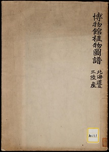 《博物館植物図譜；北海道及三陸産》
