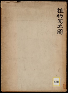 植物写生図《植物写生図廿一種買上》