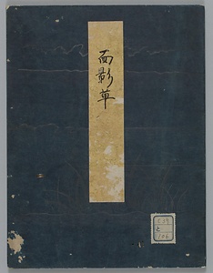 面影草